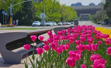 Алматыда «Таза Қазақстан» аясында сәндік көгалдандыру ауқымы кеңейіп келеді