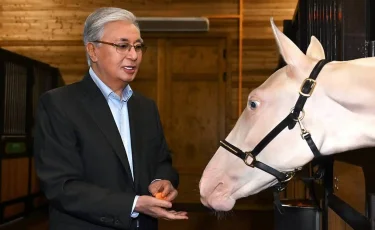 Президент әр жылдары сыйға берілген тұлпарлардың күтімін көріп қайтты