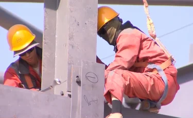 Елде түлектердің 40 пайызы өз мамандығы бойынша жұмыс істемейді