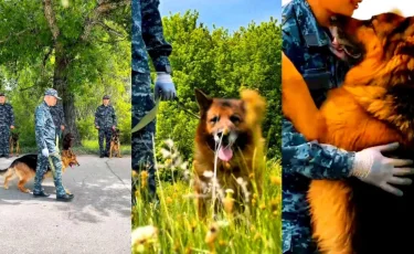 В Казахстане проводили на пенсию легендарного пса Джона