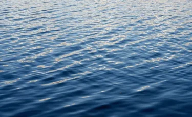 Өскеменде суға батып кеткен екінші адамның денесі табылды