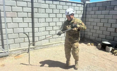В Алматинской области змеи заползли в частные дома