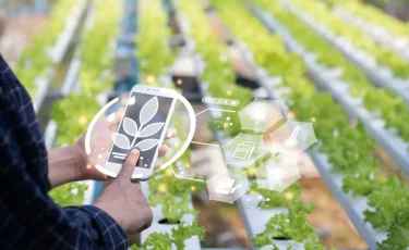 Қазақстанның агросекторына ЖИ мен цифрлық платформалар енгізілуде
