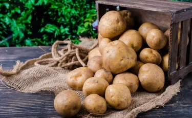 30 мая — Международный день картофеля: как «второй хлеб» спасает мир от голода