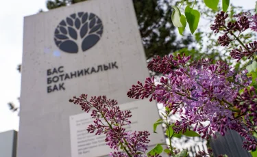 Алматының ботаникалық бағында сирек өсімдіктің қоры жасалады