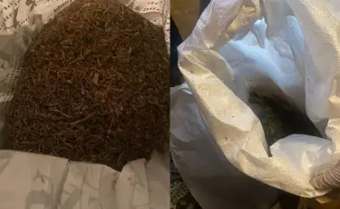 Көкшетауда мотоцикл жүргізушісінен 5 келіден астам марихуана тәркіленді
