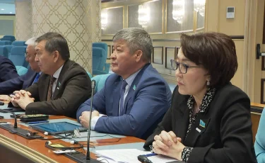 Үнзила Шапақ: Вице-президент институты билік транзиті кезіндегі тұрақтылық үшін қажет