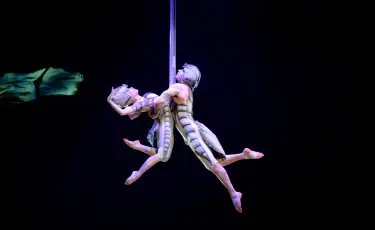 В Алматы проходят гастроли шоу OVO легендарного Cirque du Soleil