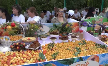 Өрік Fest-2026: как главный бренд Уйгурского района покоряет международные рынки