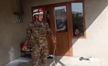 Көпқабатты үйге кіріп жатыр: Шымкентте жылан көбейді