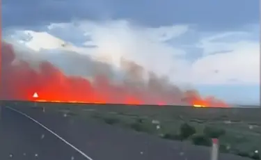 Сухая трава и камыш горят в области Абай