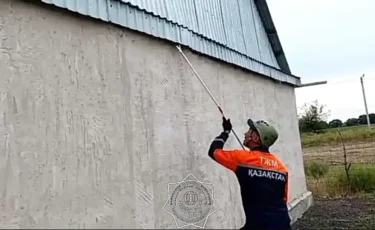 Талдықорғанда тұрғын үйдің шатырынан жылан табылды