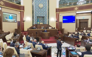 Қаржы министрлігі сырттан доллармен емес, жапон валютасымен несие алу себебін түсіндірді