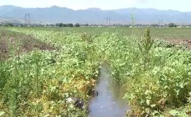 Без лишних потерь: в стране пресекают незаконный расход поливной воды