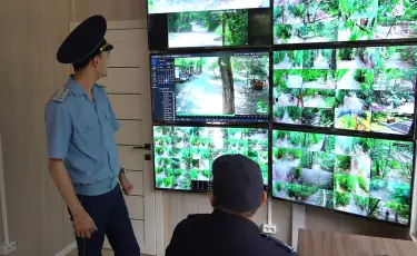 Рощу Баума взяли под цифровой контроль: безопасность усилили камерами и дронами