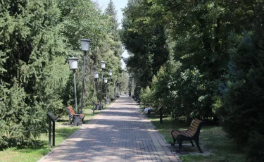 Более 14 км сетей автополива проложили на улицах Жамбыла и Тулебаева в Алматы