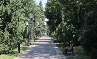 Более 14 км сетей автополива проложили на улицах Жамбыла и Тулебаева в Алматы