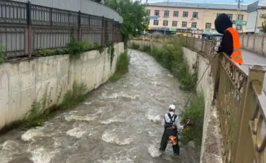 Ситуация в Наурызбайском районе находится под контролем