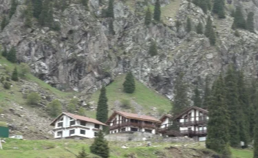 Almaty SuperSki қоршаған ортаға залалын тигізбей ме - мамандар жауап берді
