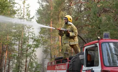 Бір тәулікте 55 дерек тіркелді: ормандағы өрт ошақтары бақылауға алынды