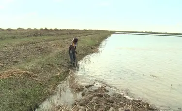 Еліміздің бес өңірінде су пайдалану лимиті бекітілді