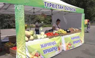 500 тонна табиғи өнім: Түркістандық диқандар алматылықтарға мол азық-түлік ұсынды