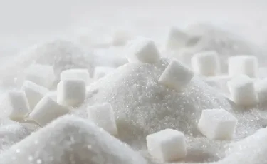 Қазақстанда қант өндірісін арттыруға бағытталған ұсыныстар әзірленді