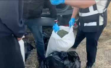 Есірткі тасымалы: Алматыға марихуана жеткізбек болған күдікті ұсталды
