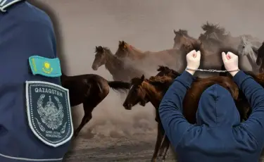 БҚО-да мал ұрлығының бірнеше дерегі ашылды