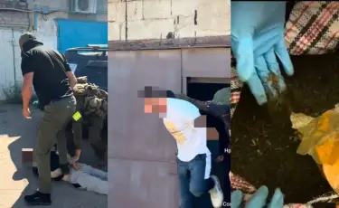 Полицейские пресекли сбыт 60 кг марихуаны в Павлодаре
