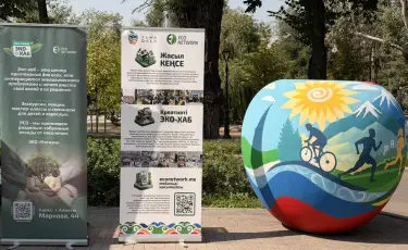 Ко Дню города на ул. Панфилова заработала праздничная эко-зона