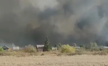 Степь в огне: пожар добрался до дачных участков