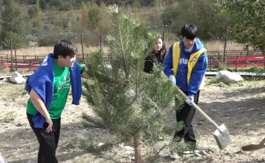 В Казахстане прошла масштабная экологическая акция World Cleanup Day