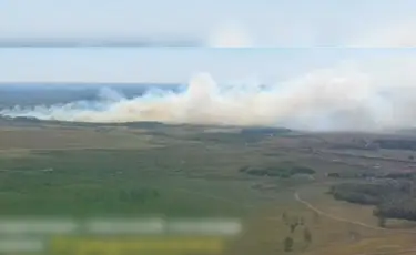 Крупный лесной пожар тушат в Акмолинской области