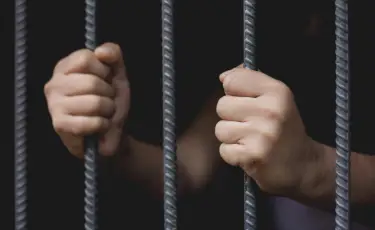 Абай облысында мал ұрлығымен айналысқан топ әшкереленді