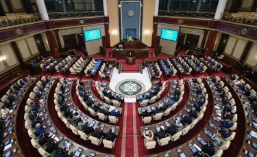 В Казахстане создадут Общественную палату