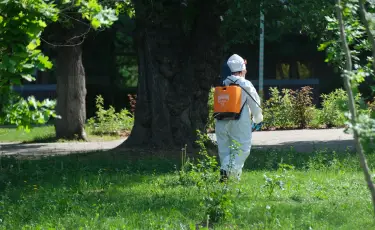 В Алматы проведут осеннюю дератизацию на площади более 47 тыс. гектаров
