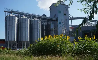 Топырақ құнары артып келеді: диқандар жерді тыңайту көрсеткішін өткен жылдан асыра түсті