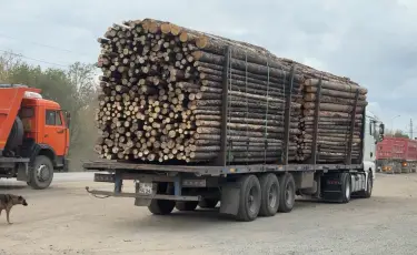 Жылыту маусымы: Павлодар облысында отын бағасы мен дайындау шарттары қандай