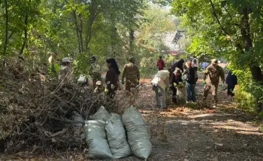 Алматыда бір күнде 1,2 мыңнан астам ағаш егілді