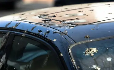 "Привет" с неба: учёные выяснили, какие авто чаще страдают от птичьих "подарков"
