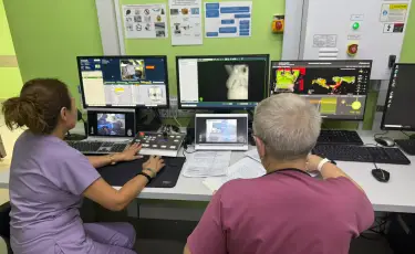 В Алматинском онкологическом центре внедрена интеллектуальная система планирования лучевой терапии