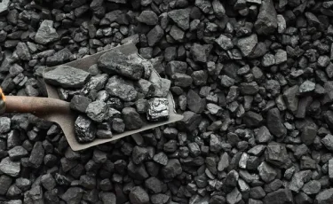 Абай облысындағы мектепке сапасыз көмір жеткізілген