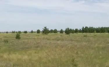 Отказали в земле незаконно: в Костанайской области наказали госслужащих