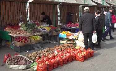 Қазақстанның барлық өңірінде «Дала дәмі» ауыл шаруашылығы жәрмеңкелері өтіп жатыр