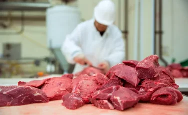 В Казахстане произведено 846,5 тыс. тонн мяса