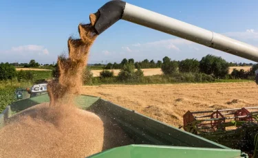 От сырья к готовой продукции: Казахстан меняет подход к аграрному производству