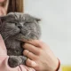 Праздник каждый день: самые необычные даты, которые отмечаются в мире в июне