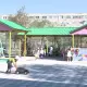Балалар туралы сіз біле бермейтін қызықты деректер