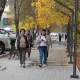 Ауырмаудың жолын іздеңіз: иммунитетті қалай күшейтуге болады